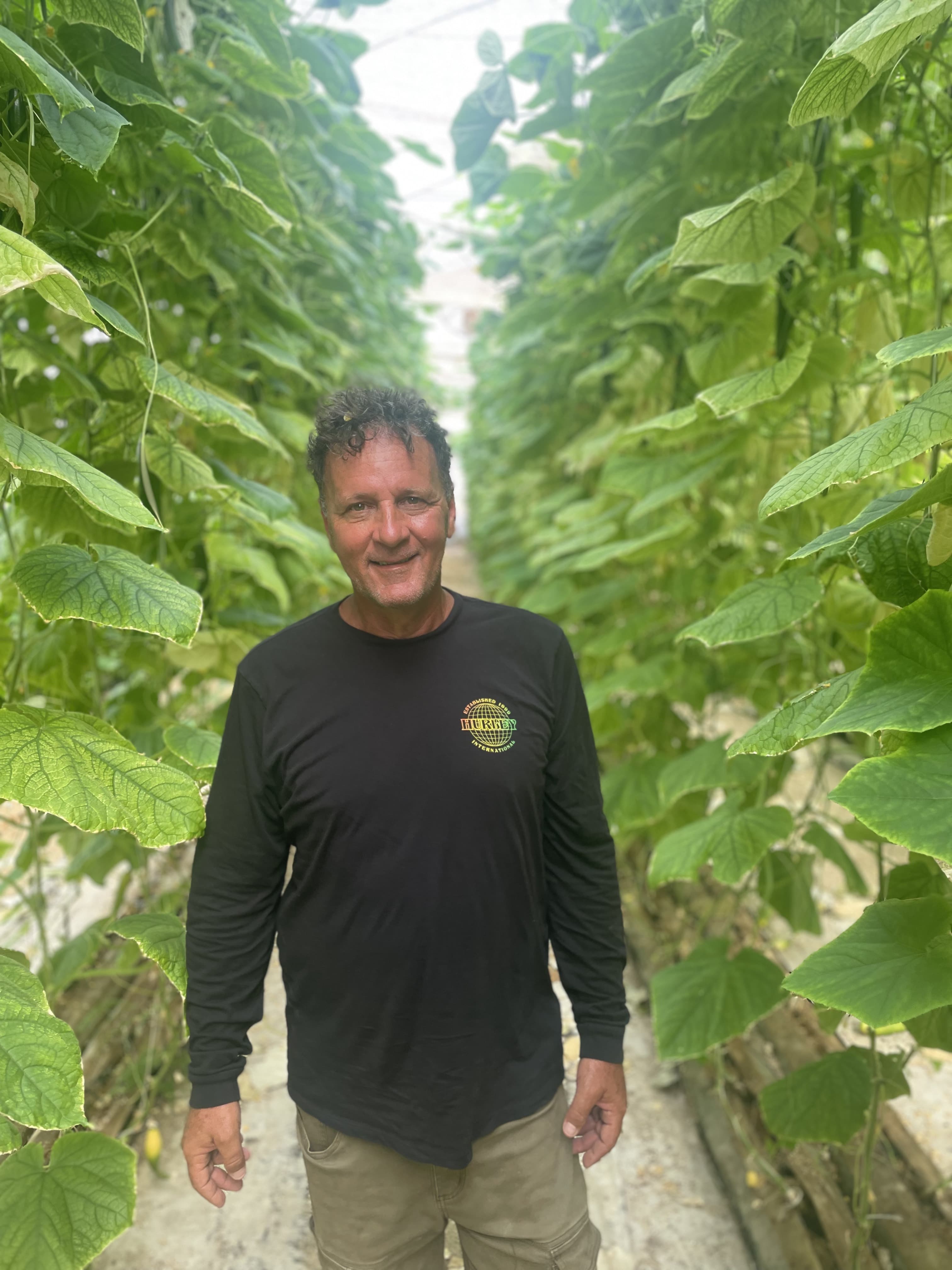 Ari Lichtenstein, founder of Nos Cunuku, in his cucumber greenhouse
