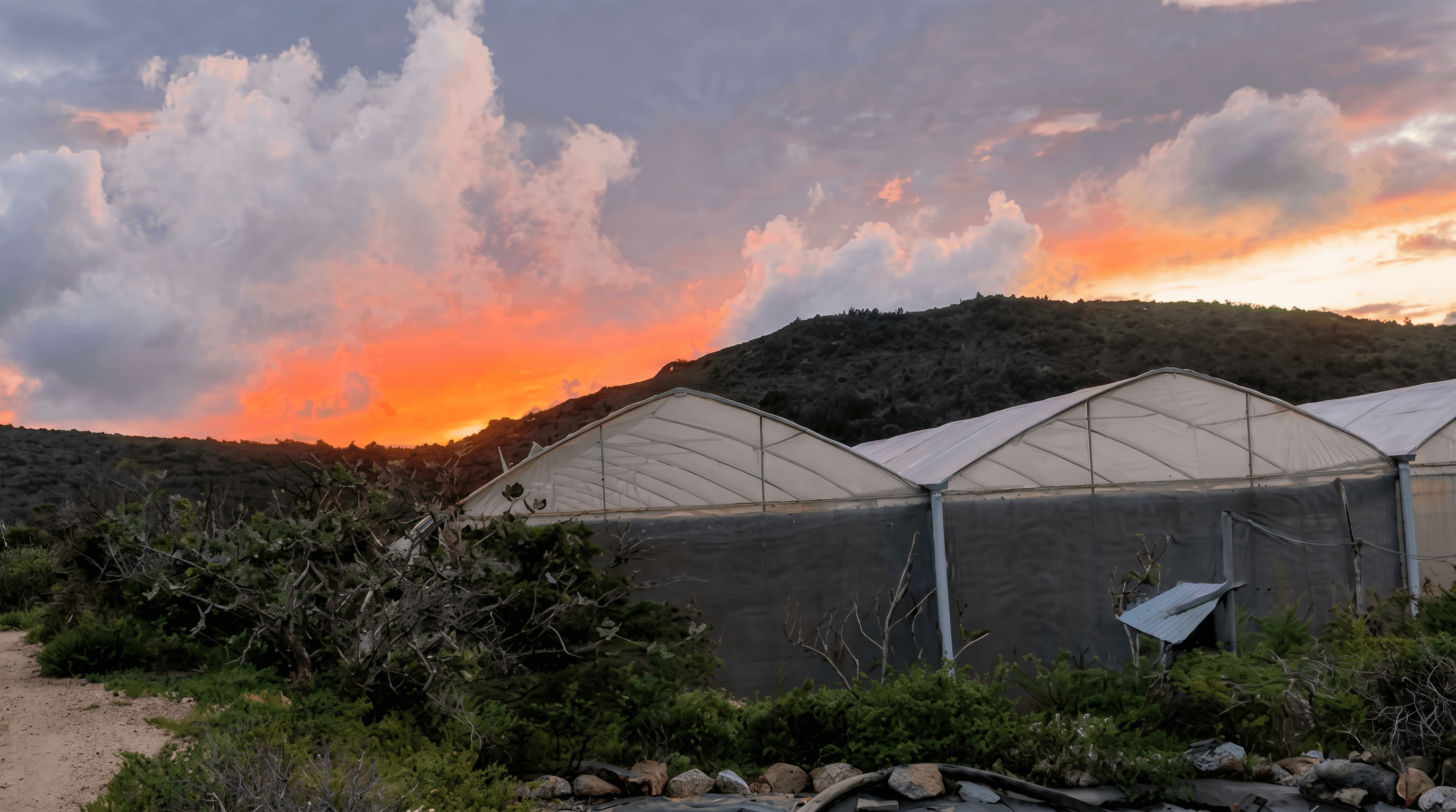The Nos Cunuku greenhouse at sunset, Aruba